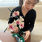 胡蝶蘭