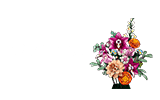 ボタニカル