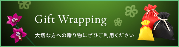 Gift Wrapping 大切な方への贈り物にぜひご利用ください